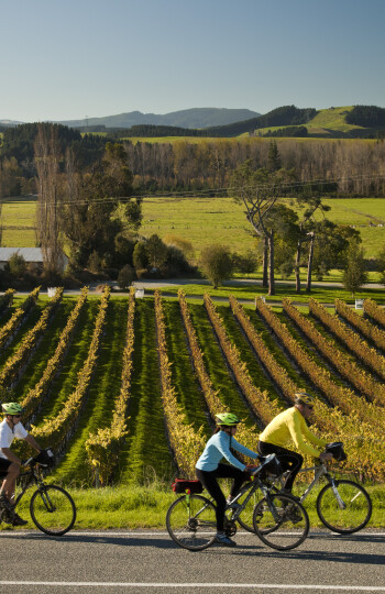 Winery cyclists
