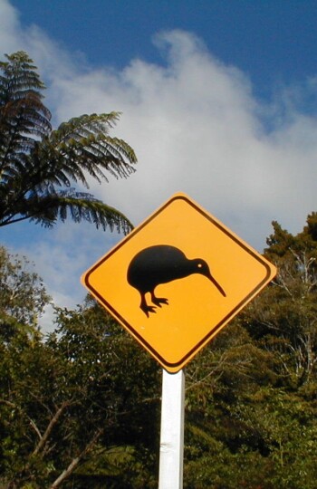 kiwi signpost